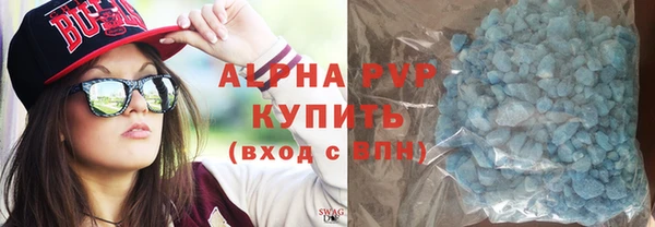 индика Бородино