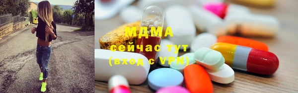 стаф Каменка