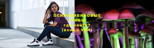 тгк Богданович