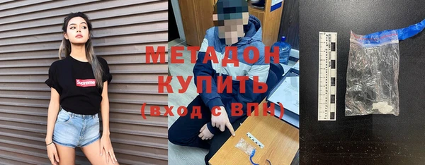 индика Бородино