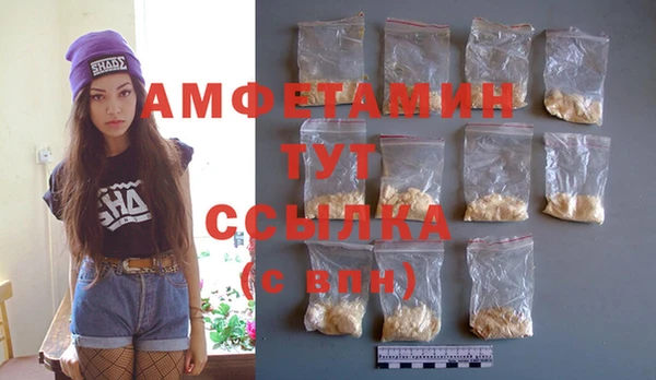 индика Бородино