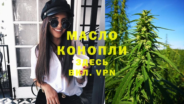 индика Бородино