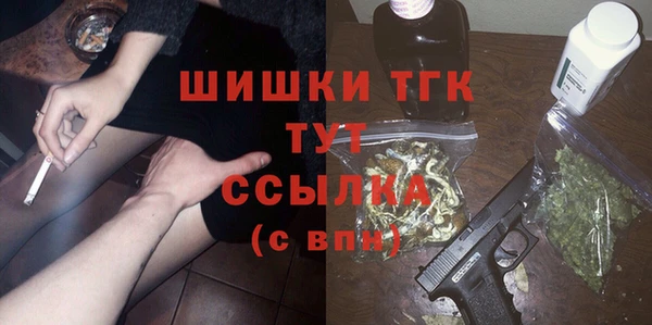 тгк Богданович