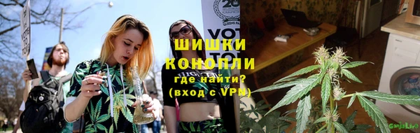 индика Бородино