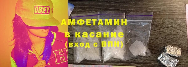 индика Бородино